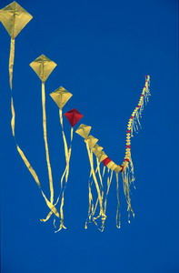 kite train