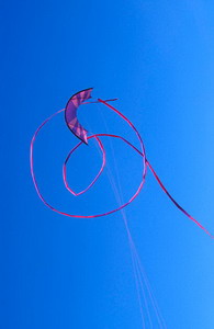 circling kite