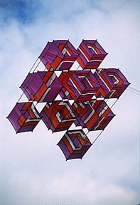 Box kite