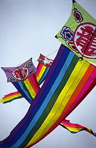 oriental kites