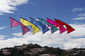 Kites