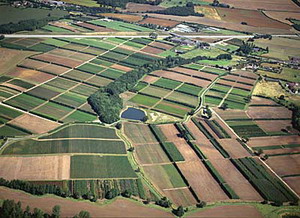 Patchwork fields